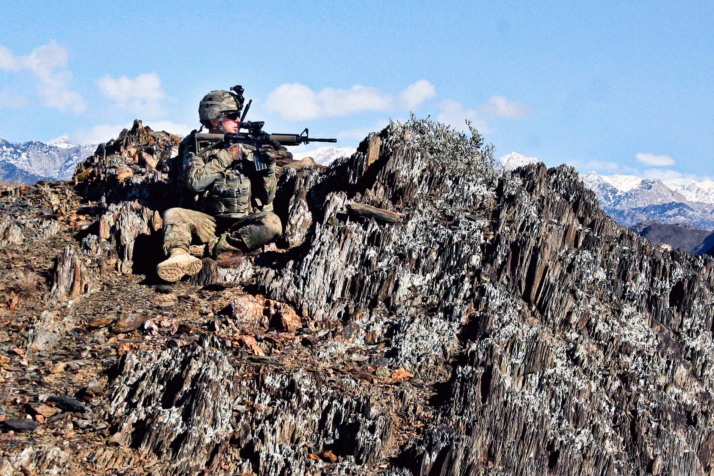 MultiCam® pattern in woodland environment