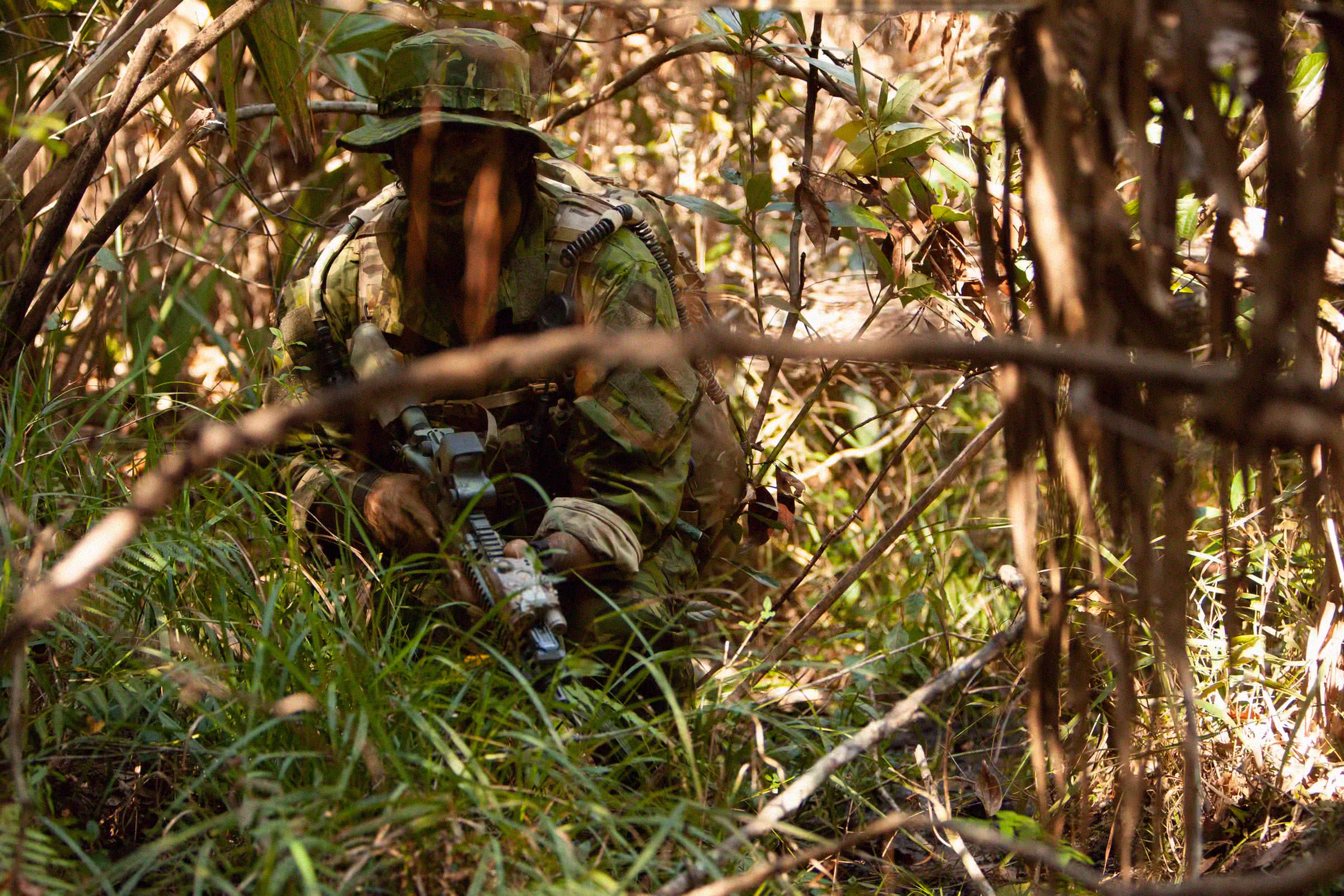 MultiCam® Tropic pattern in vegetation